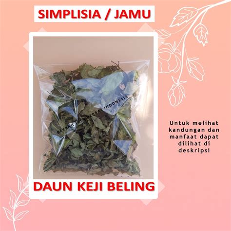 Jual Daun Kumis Kucing Bahan Jamu Godog Godok Rebus Simplisia Batu