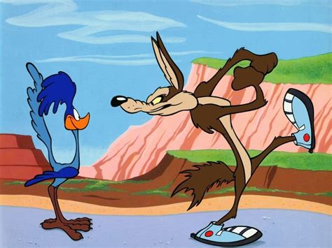 360x640 resolution | Road Runner and Willie Cayote, Wile E. Coyote ...