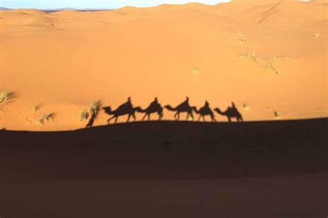 Best Sunset Camel Trek In Merzouga Camel Tour