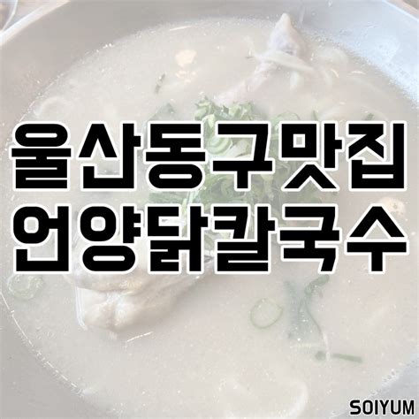 울산 동구 일산지 맛집 비 오는 날 생각나는 언양닭칼국수 일산점 네이버 블로그