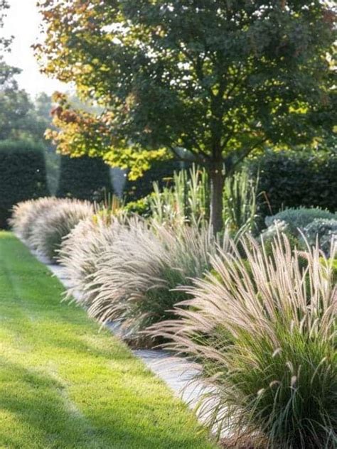 20 Best Garden Border Ideas to Enhance Your Outdoor Space