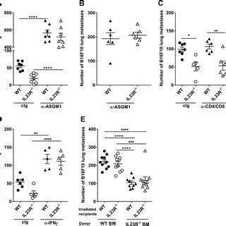 Suppression Of B F Lung Metastases In Il R Mice Requires Nk Cells