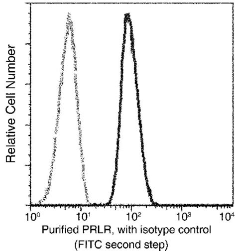 Recombinant Anti Prolactin Receptor Prl R Antibody Bsa And