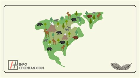 Pengertian Bioma Hutan Gugur Ini Ciri Serta Contohnya