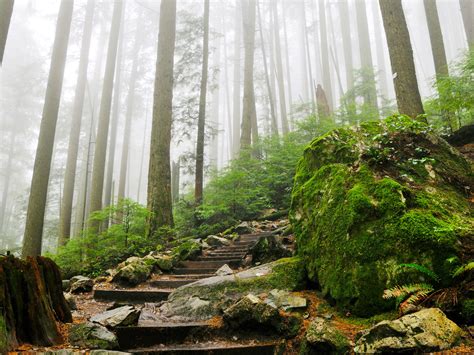 Discovering the Trans Canada Trail, the World’s Longest Recreational ...