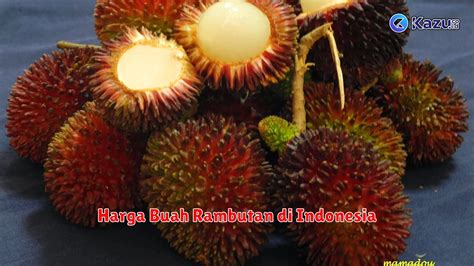 Manfaat Buah Rambutan Untuk Kesehatan Dan Kecantikan Life Style