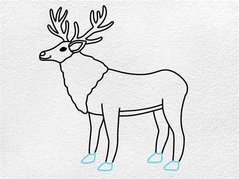 How To Draw A Reindeer Helloartsy