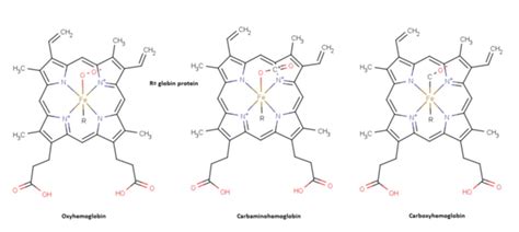 Carboxyhämoglobin DocCheck Flexikon