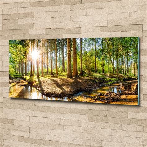 Acrylglas Bild Wandbilder Druck 125x50 Deko Landschaften Wald Panorama