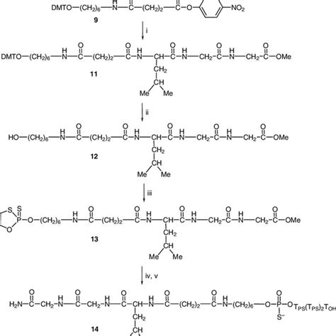 Scheme Reagents And Conditions I Meo Gly Gly Leu Nh Ii