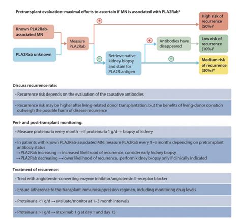 The 2021 Kdigo Gn Guidelines — Nephjc