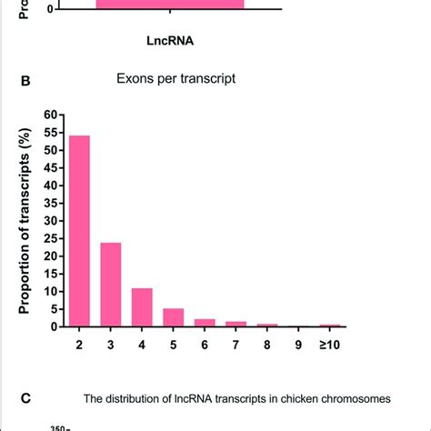 The Features Of Chicken Lncrnas A Exon Length Distribution Of