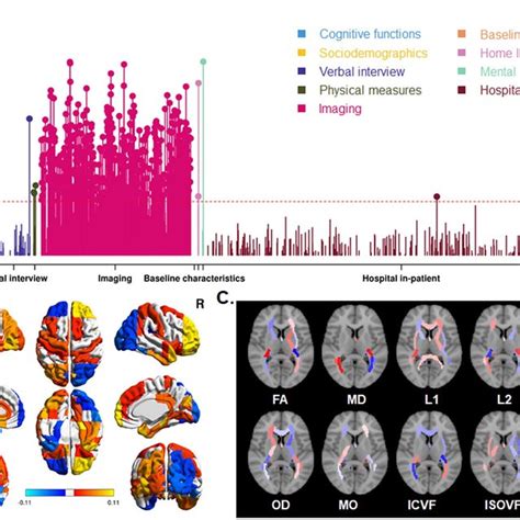 Phenome Wide Association Analysis For Horizontal Brain Skew A