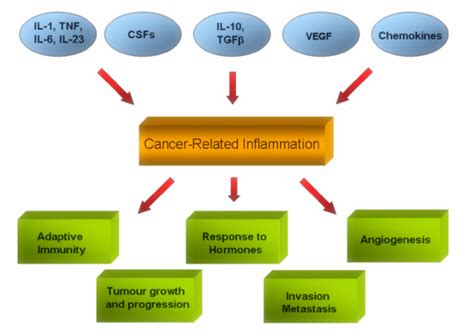 In Situ Detection Of Chemokinescytokines Creative Bioarray