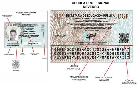 La Sep Da A Conocer La Nueva Cédula Profesional El Sol De México