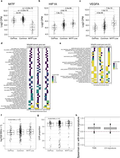 Multi Omic Analysis Reveals Significantly Mutated Genes And Ddx3x As A