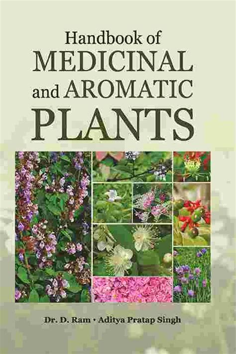 Pdf Handbook Of Medicinal And Aromatic Plants By Singh Ebook Perlego