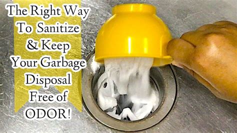 how to get rid of a stinky garbage disposal