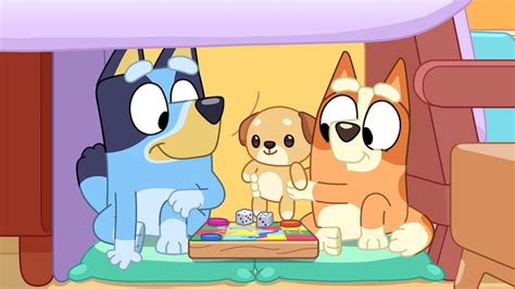 Bluey Fest Abc Kids