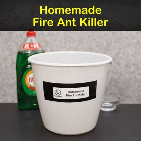 12 Do-It-Yourself Fire Ant Killer Recipes that Work