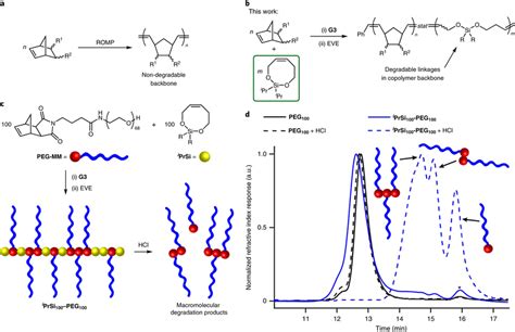 The Study Design And Initial Results A Polynorbornenes Prepared By