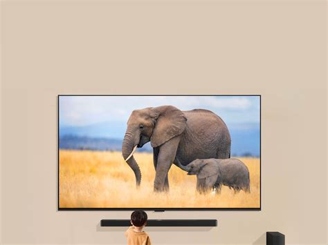 TV Buying Guide | LG Levant