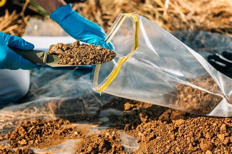 Best Ways To Add Phosphorus To Your Soil For More Yields And Profit