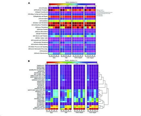 Heatmap Profiles Showing The Functional Categories KEGG Level 2 Of