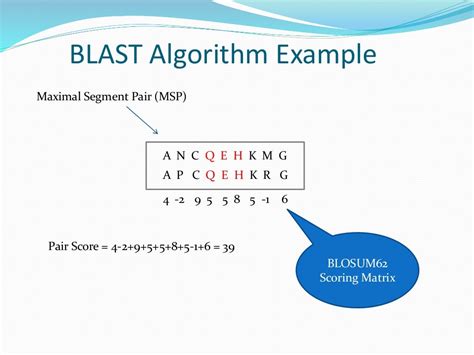 Blast Algorithm