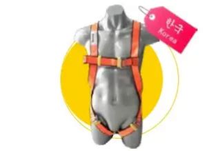 Full Body Harness C W Dorsal Anchorange Point And Three Points