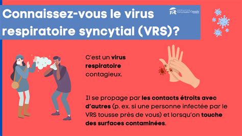 Le Virus Respiratoire Syncytial VRS Immunizecanada