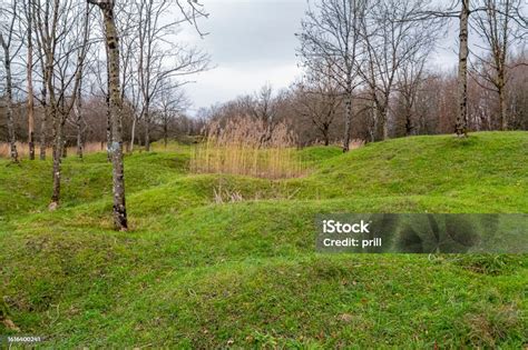 Battlefield Around Verdun Stock Photo - Download Image Now - Accidents ...