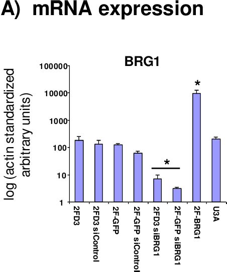 Figure 1 1 From Functional Roles Of The SWI SNF ATPase Brahma Related