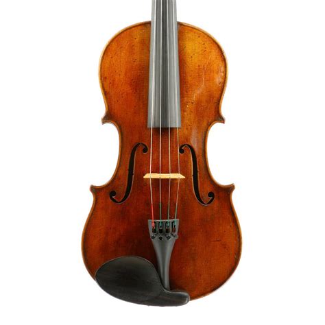 Top 98 Pictures A Picture Of A Viola Excellent