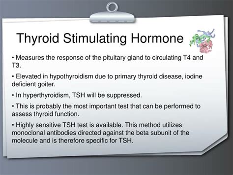 Ppt Thyroid Function Tests Powerpoint Presentation Id4089389