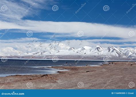 Lake Manasarovar in Western Tibet, China Stock Image - Image of mapham ...