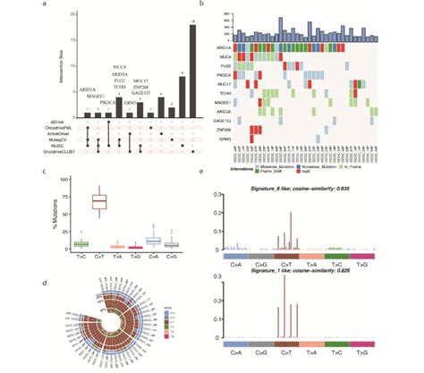 Mutations Identified By Whole Exome Sequencing In Occc Patients A