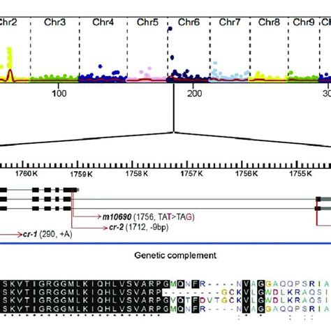 Simultaneous Identification Of Multiple Causal Mutations Simm