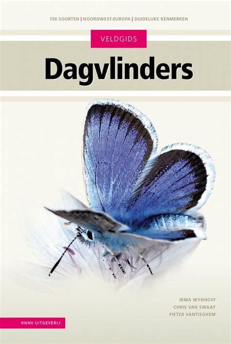 Veldgids Dagvlinders Field Guide To Butterflies Nhbs Field Guides