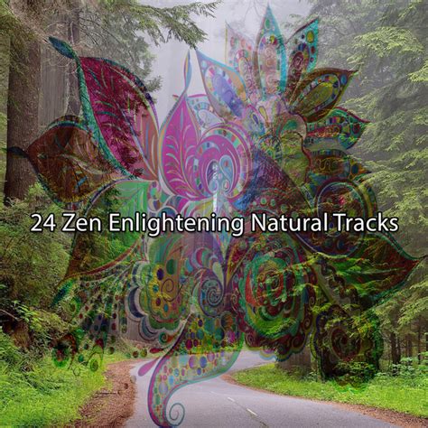 Zen Enlightening Natural Tracks Album By Natural Sample Makers