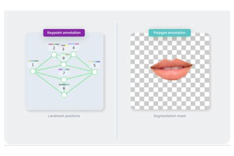 Key Point Annotation In Image And Video Labeling