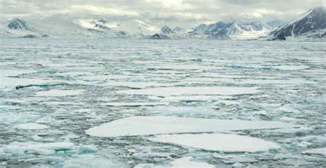 Interesting Facts About The Arctic Ocean