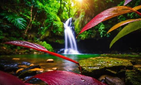 Jungle Waterfall Cascade In Tropical Rainforest Amazing Nature