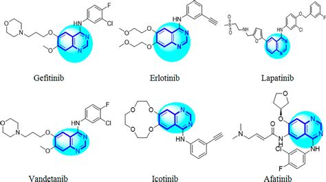 Clinically approved quinazoline scaffolds as EGFR inhibitors