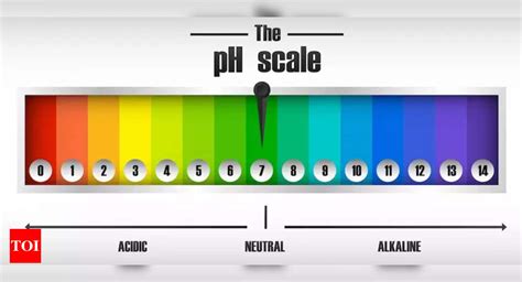 PH Scale Understanding Acidity And Alkalinity Times Of India