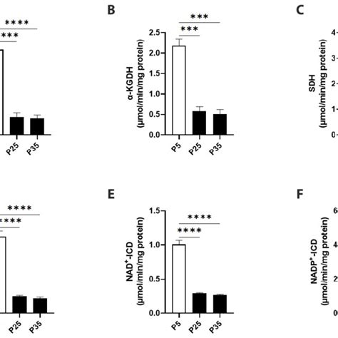 Mitochondrial Specific Activities Of Tca Cycle Enzymes In Primary P5