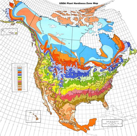 US Department of Agriculture(USDA) Hardiness Zones - Eat The Planet