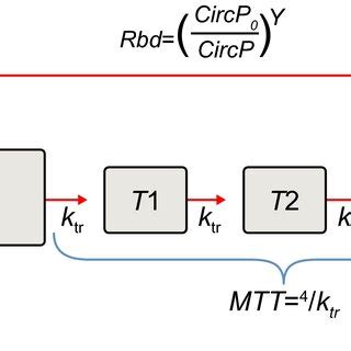 Platelet Synthesis Semimechanistic Model Scheme Feedback Parameter