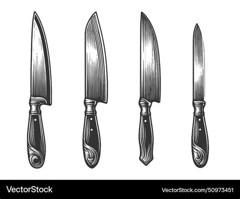 Set of chef knives engraving Royalty Free Vector Image