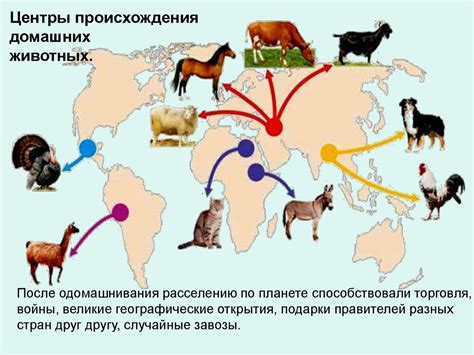 История одомашнивания животных, происхождение домашних животных ...